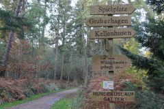 Wald